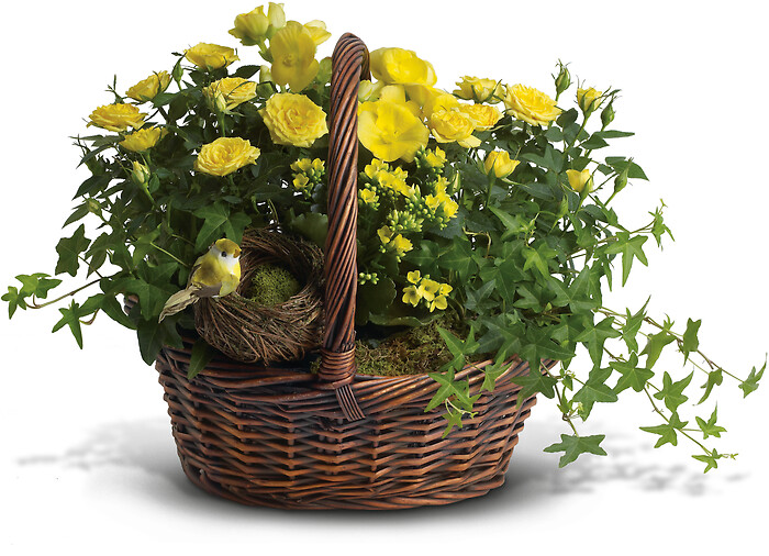 Yellow Trio Basket