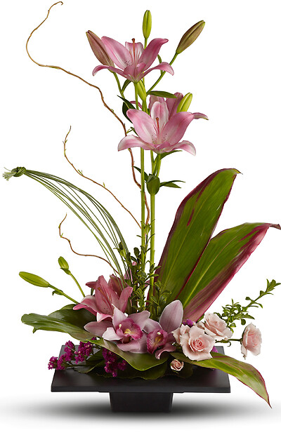 Imagination Blooms with Cymbidium Orchids