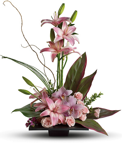 Imagination Blooms with Cymbidium Orchids